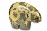 Calcite-Filled Polished Septarian Bear - Utah #264581-3